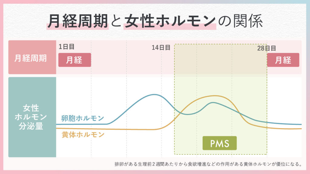 月経周期とホルモンバランスの変化